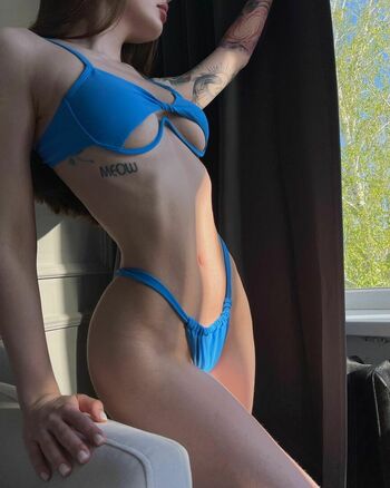 Meow.fit