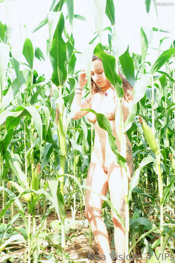Mila Visions
