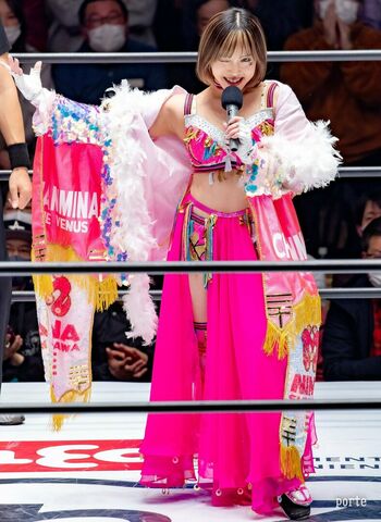 Mina Shirakawa