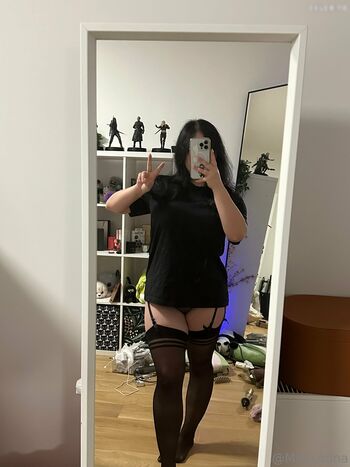 Miniloonaa