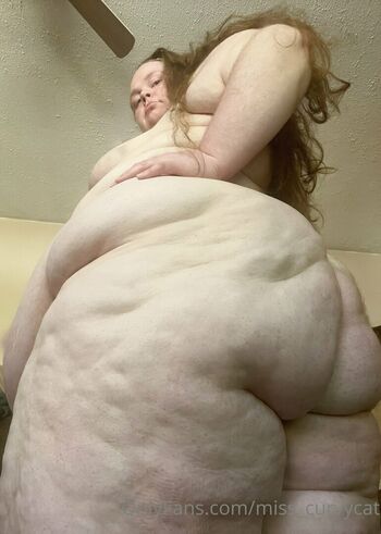 miss_curvycat