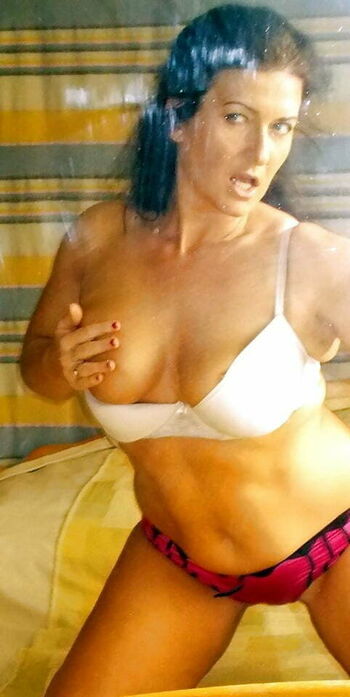 Model Stilus