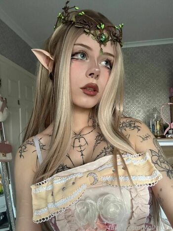Mollycute