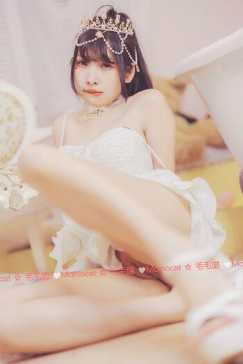 Momocat.0w0