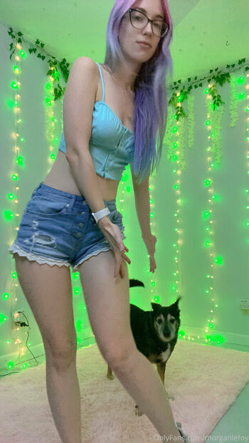 morganlefoy