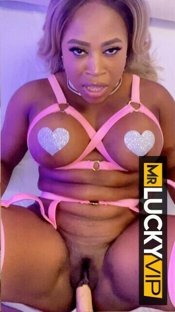 Mr Lucky POV