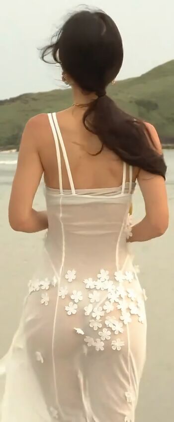 msdongan