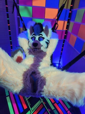 Murrsuit