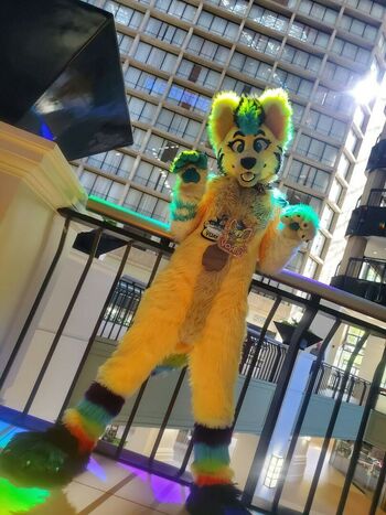 Murrsuit