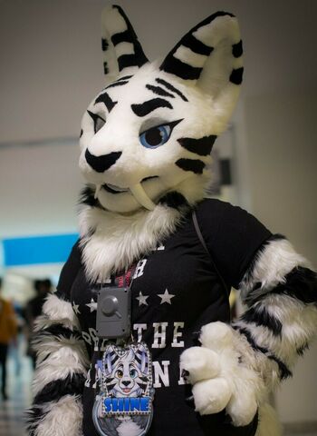 Murrsuit