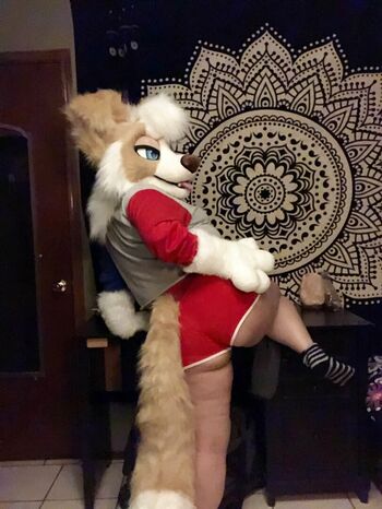 Murrsuit
