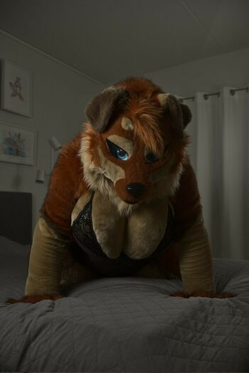Murrsuit