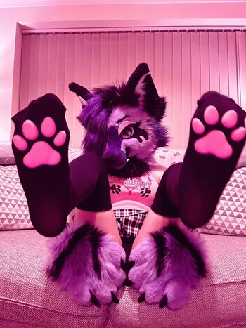 Murrsuit