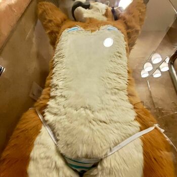 Murrsuit