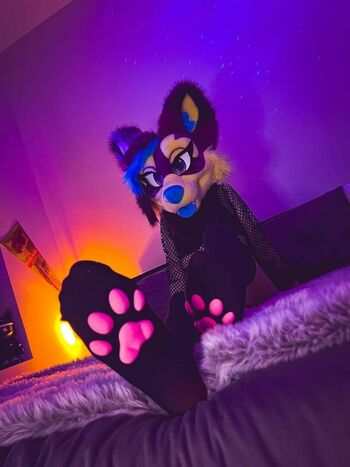 Murrsuit