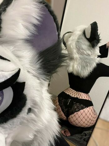 Murrsuit