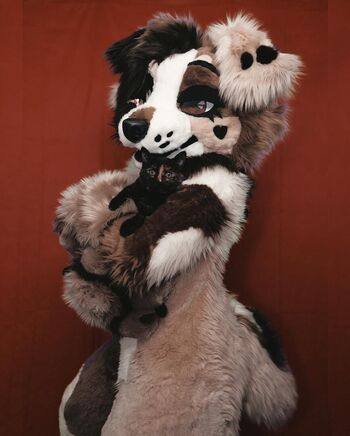 Murrsuit