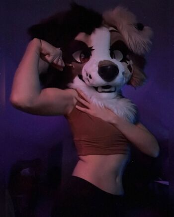 Murrsuit
