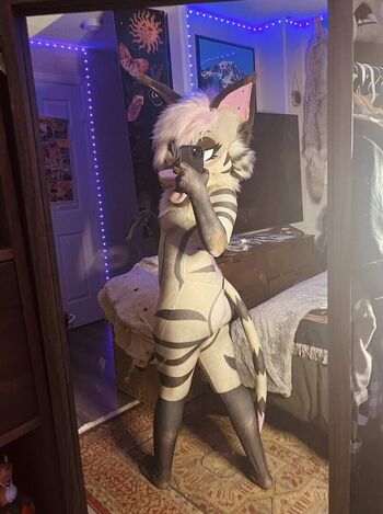 Murrsuit