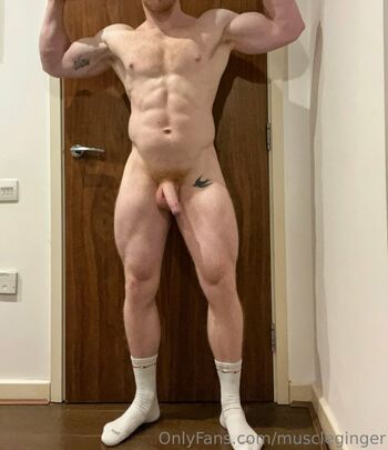 muscleginger