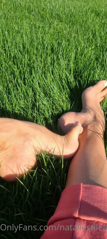 natarches