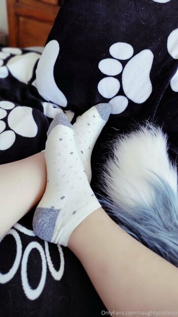 naughtycolliead