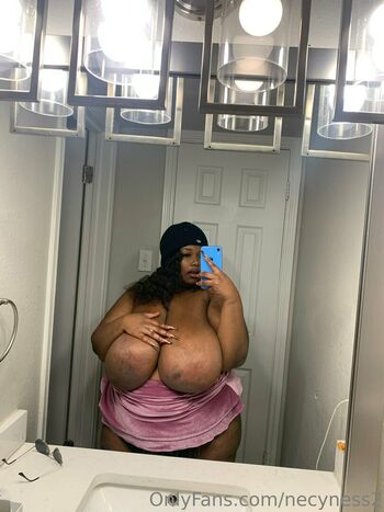 necyness2