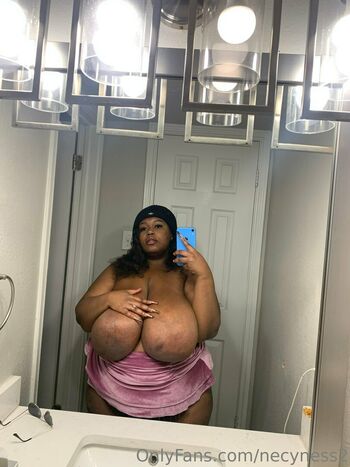 necyness2
