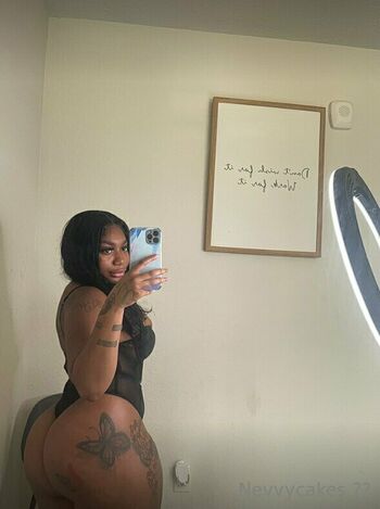 nevvycakes