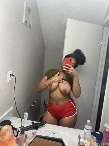 nevvycakes