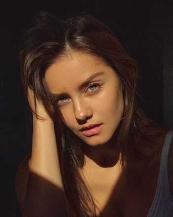 Nicola Cavanis