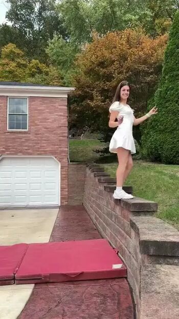 Nicoleskirt