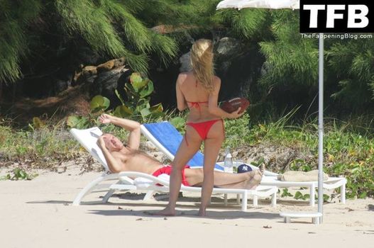 Nicollette Sheridan