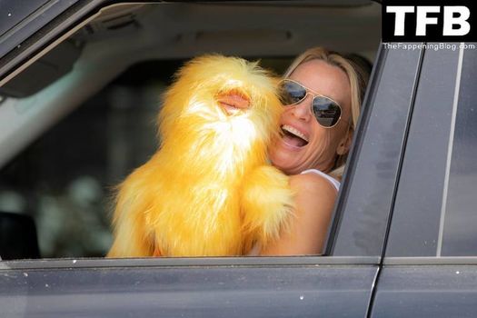 Nicollette Sheridan