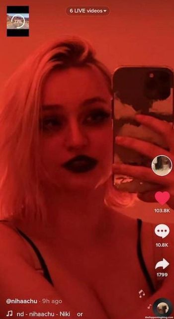 Niki Nihachu