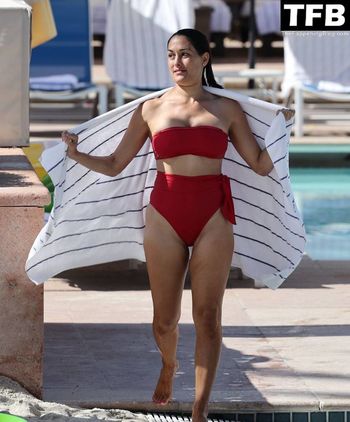 Nikki Bella