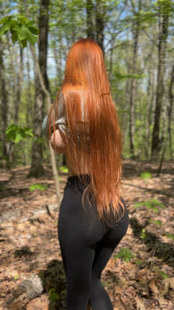 ninelbordel