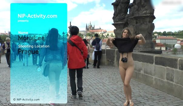 NIP-Activity.com