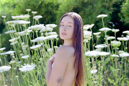 Noa Pery