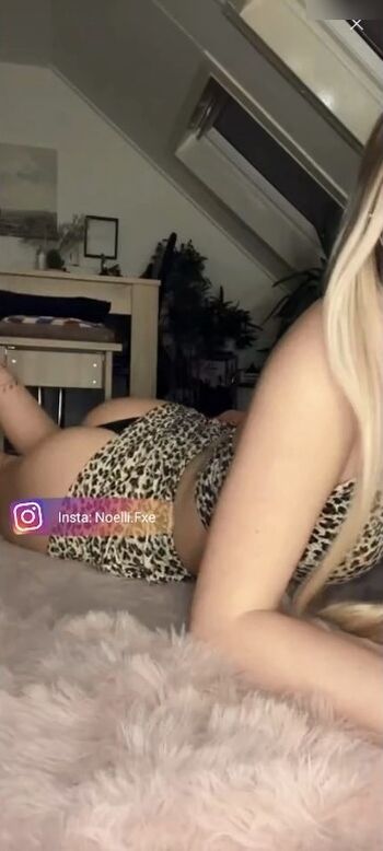 Noelli_fxe