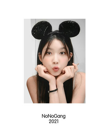 NoHaileeNo