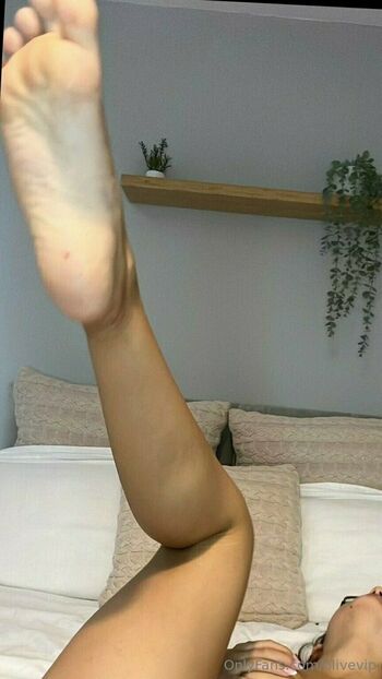 Oliveskinvip