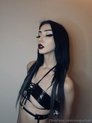 omgvelvet