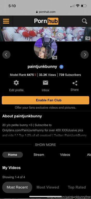 paintjunkbunnyfree