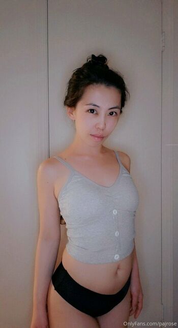 pajrose