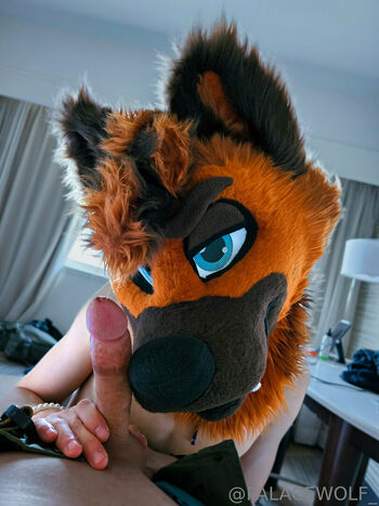 palacewolf