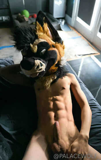 palacewolf