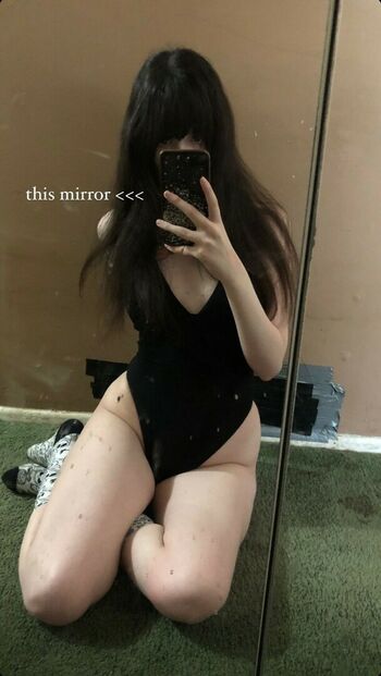 Palediary