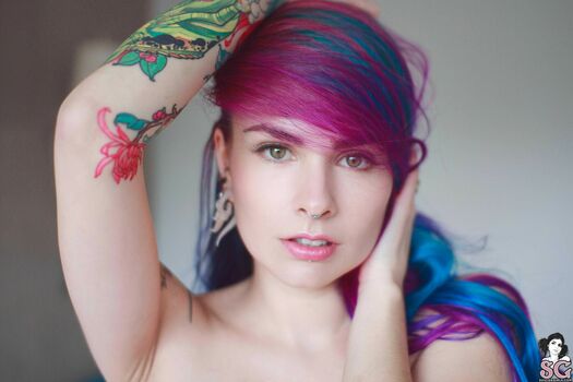 paloma
