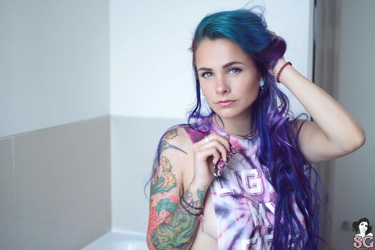 paloma